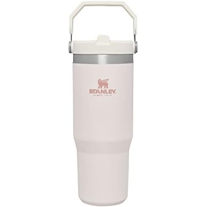 Stanley IceFlow Stainless Steel Tumbler with Straw - Vacuum Insulated Water
