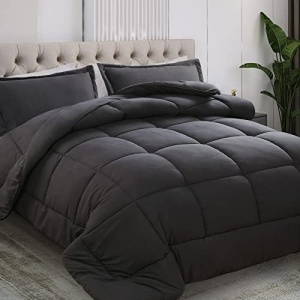 All Season Queen Size Comforter Set 3 PCs, Premium 350GSM Soft Quilted Down