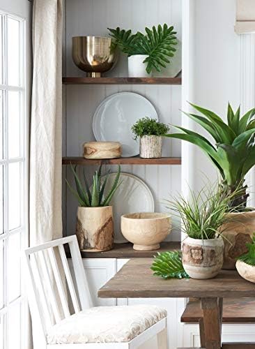 Serene Spaces Living 11" Paulownia Wood Round Bowl, Handmade Wooden Decorative - Image 3